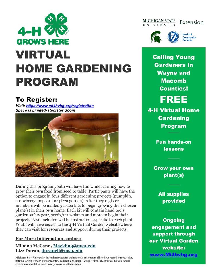 4-H virtual gardening